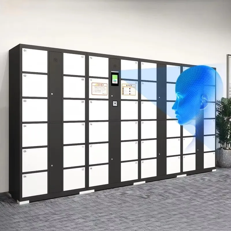 Smart Electronic Metal Locker Fingerprint Combination Lock Parcel Storage Cabinet Custom