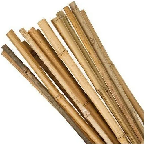 Gardenonya Bamboo Plant Support Bar 16 mm 180 cm 10'lu