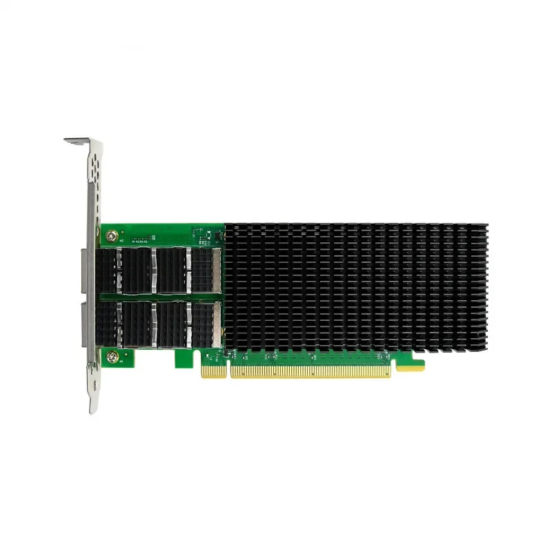 Server network interface card Dual optical port 200G 10 Gigabit fiber