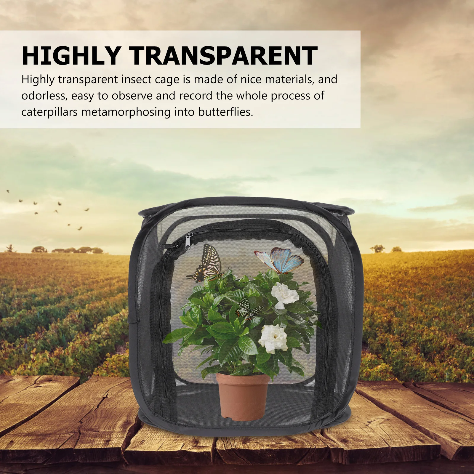 قفص مراقبة الحشرات، قفص بوليستر شفاف قابل للطي ومحمول وجيد التهوية