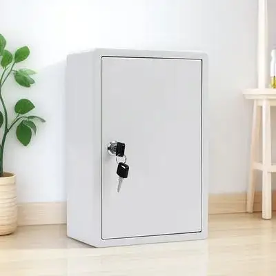 

Lockable Wall-Mounted Plastic Milk Box Durable Household Dairy Case Porch Package Delivery Outdoor Use