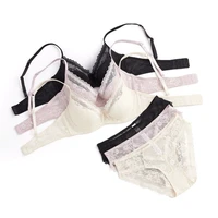 Summer Sexy Lace Embroidery Women Lingerie Set French Thin Cup Push Up Bra Comfort Breathable Underwear Ladies Bra Briefs Set