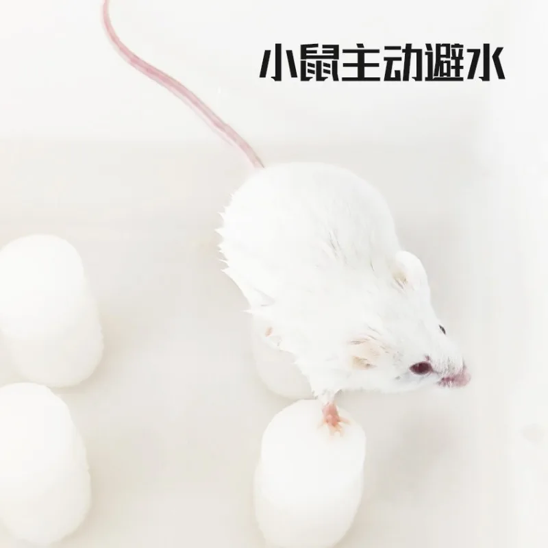 Sleep Deprivation Rat Cage Box Stainless Steel Cage Cover Durable Cage Inner Column Sleep Deprivation Model