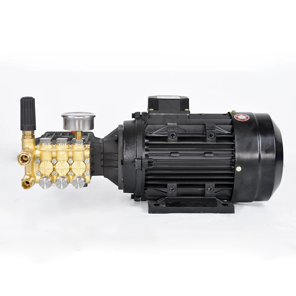 

350bar Electric High Pressure Pump Cleaning Gear Machine Parts