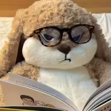 Large, Cuddly Angry Rabbit Plush Toy, Perfect Gift And Decor.