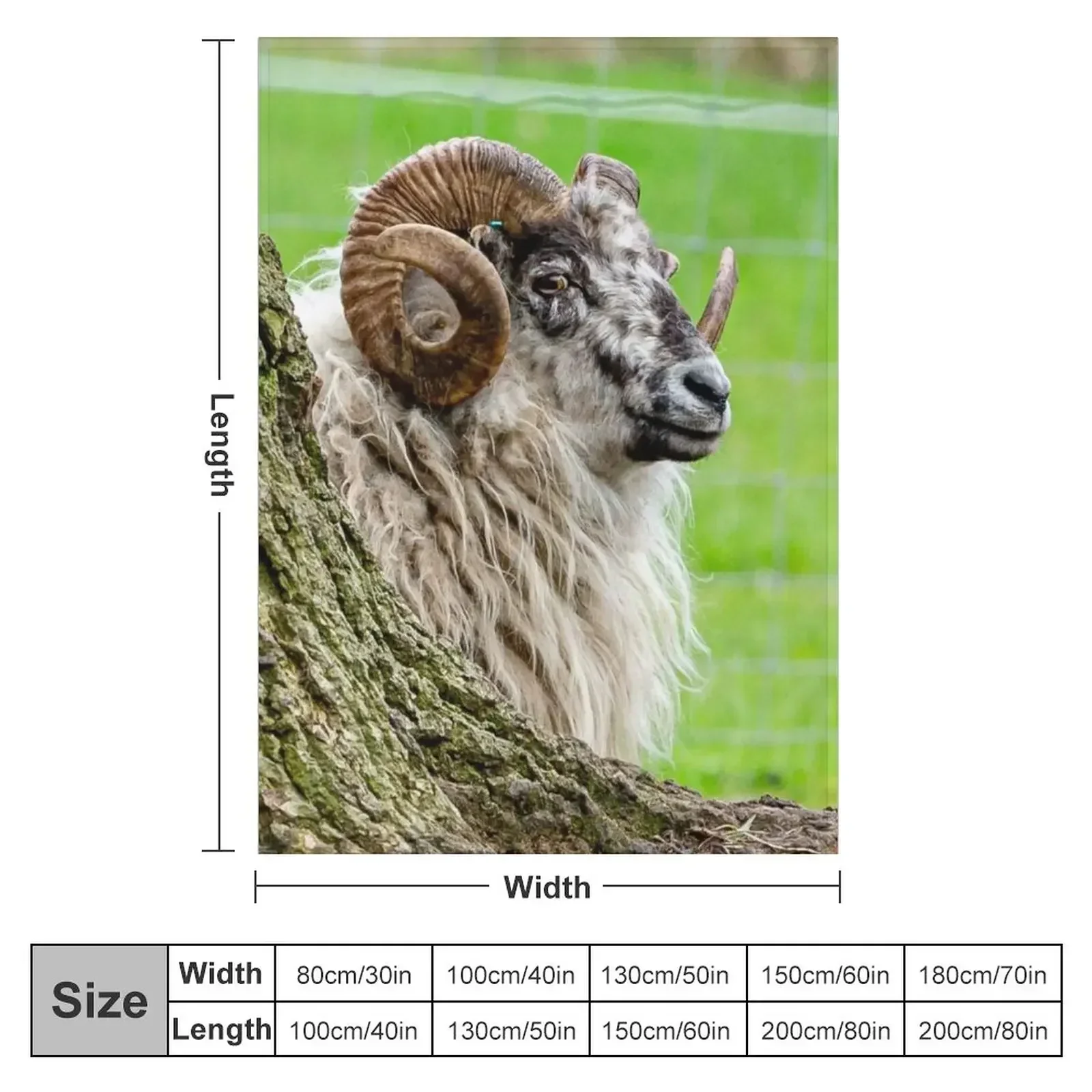 New Boreray Ram Throw Blanket Bed covers Thermal Luxury Thicken Large Beautifuls blankets ands Blankets