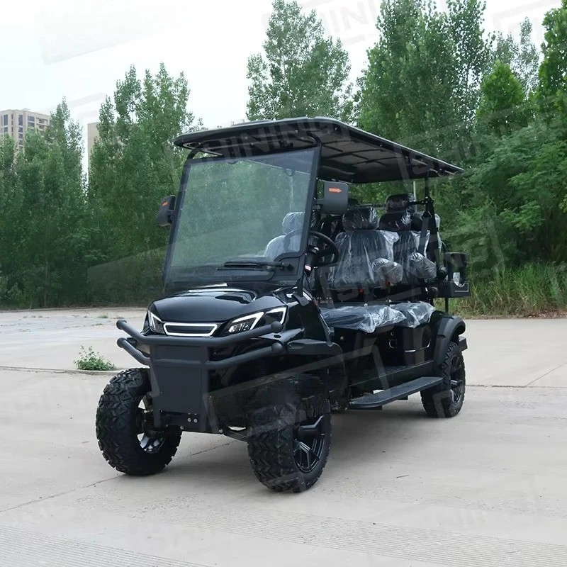 Shininglsv OEM Modern Design Qingdao Shining Vehicle Road Legal Buggy Purple 6 Person Sightseeing Golf Cart
