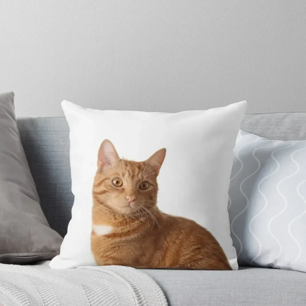 

Ginger cat Throw Pillow Embroidered Cushion Cover Decorative Pillow Covers For Sofa pillow