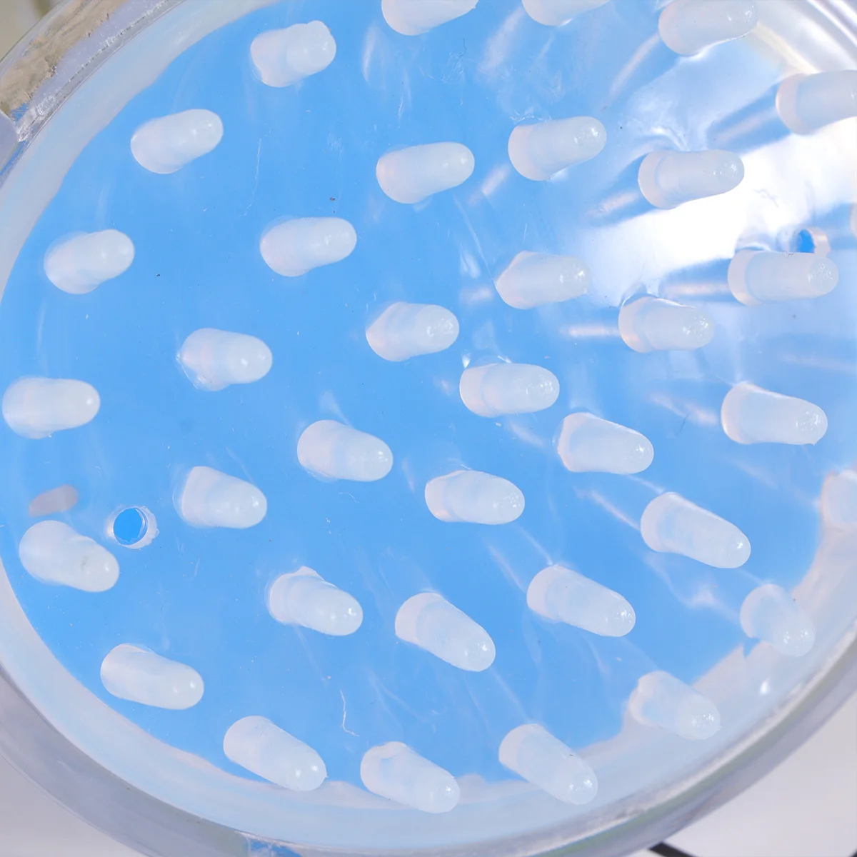 

4Pcs Hair Scalp Scrubber Premium Material Head Massage Brush Relax Remove Dead Skin Suitable Home Salon Use Bathing Massage