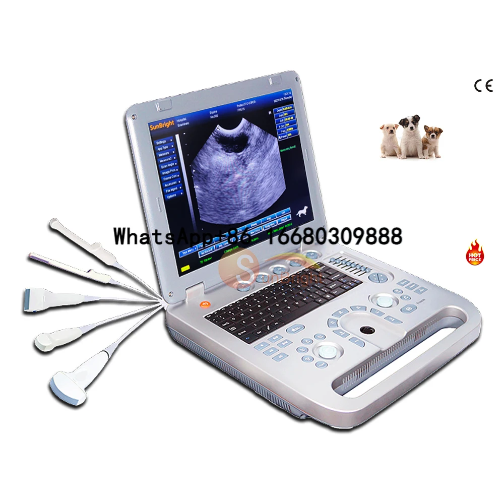 

Farm Vet Cattle Horse Portable Ultrasound Machine with Rectal Probe for Animal Use Device
