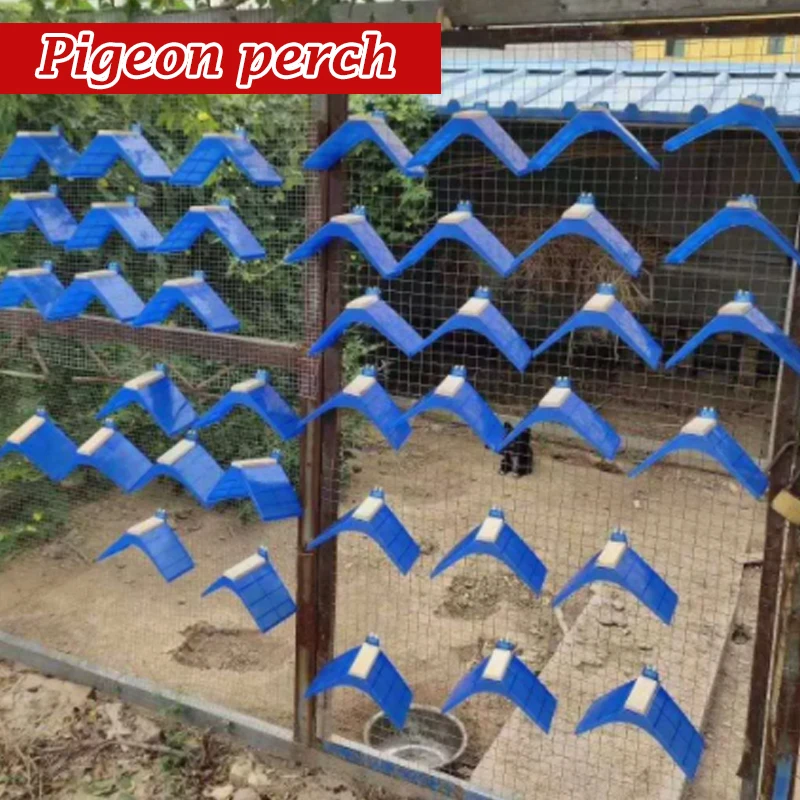 Imagem -06 - Stand Blue Pigeon Poleiros para Aves Dove Rest Bird Supplies Poleiro Poleiro 20 Pcs