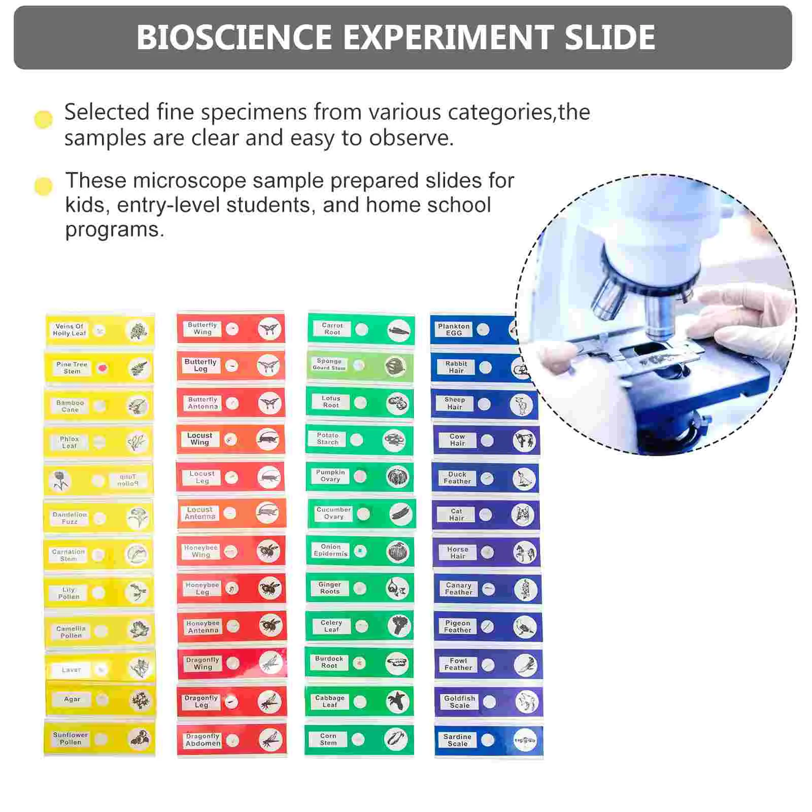 48 peças de fatia de amostra biológica preparada lâminas de microscópio coleção de vidro microscópico amostra de insetos