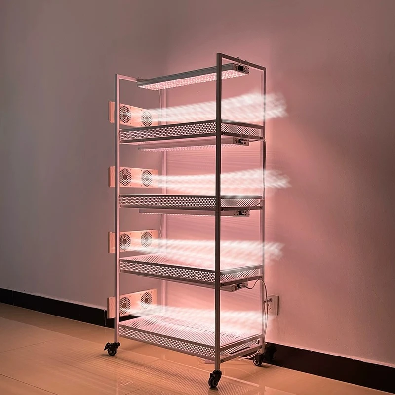 Succulent trolley flower stand with optional speed regulating fan and fill light