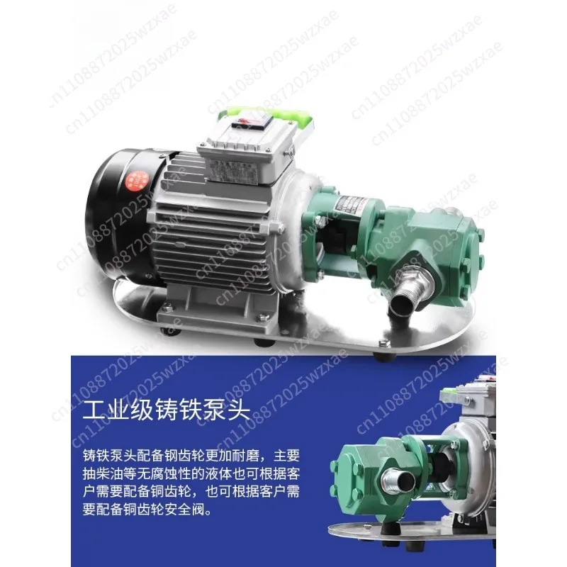 WCB-75 Self-Priming Gear Oil Pump Portable Cast Iron High Temperature Electric Gear Pump 750W Small High Viscosity Oil Pump 220V