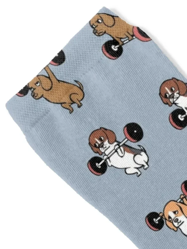 Lifting Beagles Socks Crossfit Stockings man crazy japanese fashion Socks For Man Women's