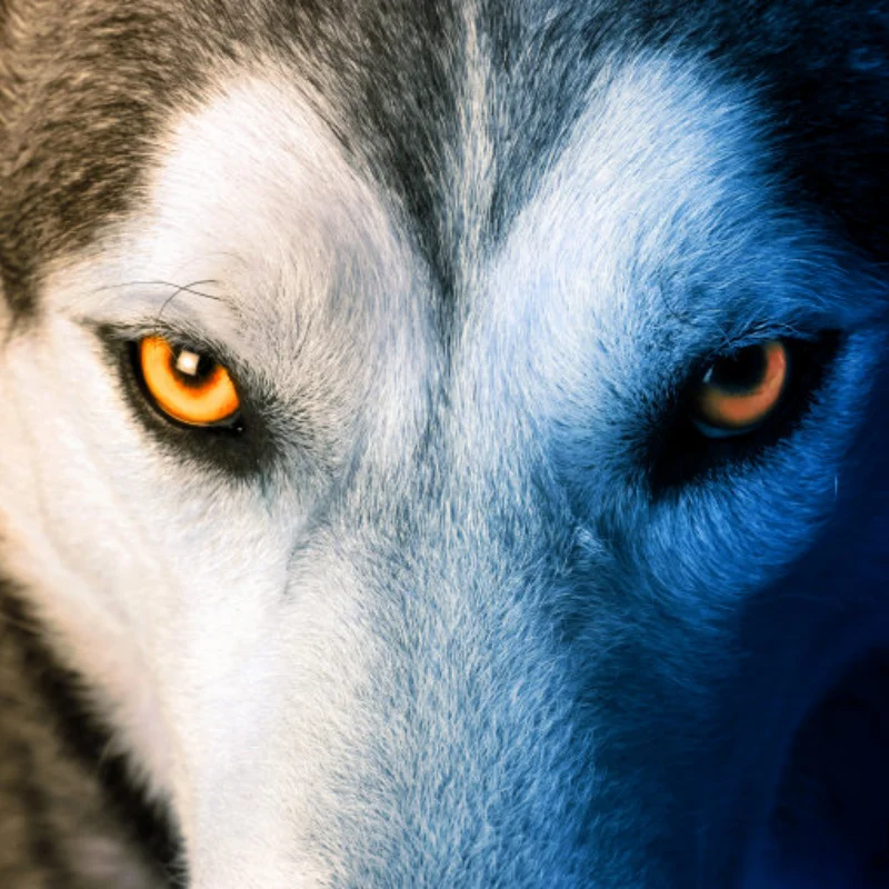 

Carbon Front Bumper Kit for Tamiya Tamiya TTA03R, TA03RS, TA03RS TRF Chassis Upgrades Parts