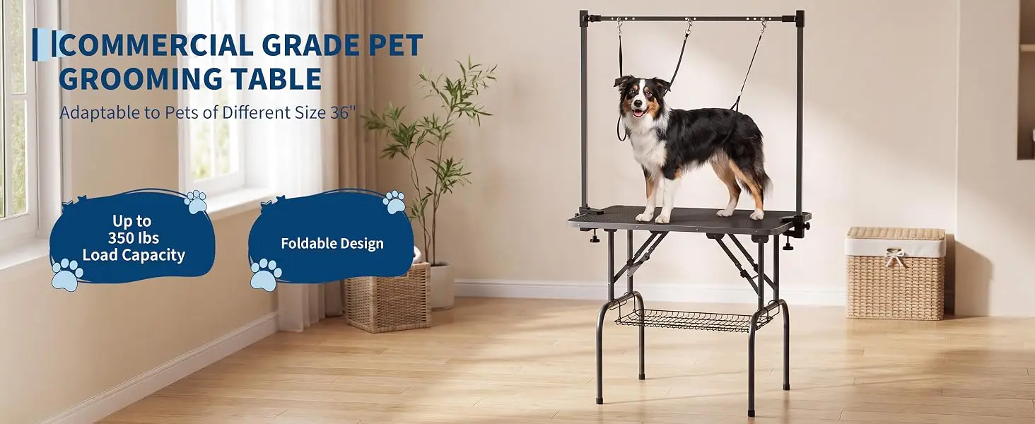 dog grooming table