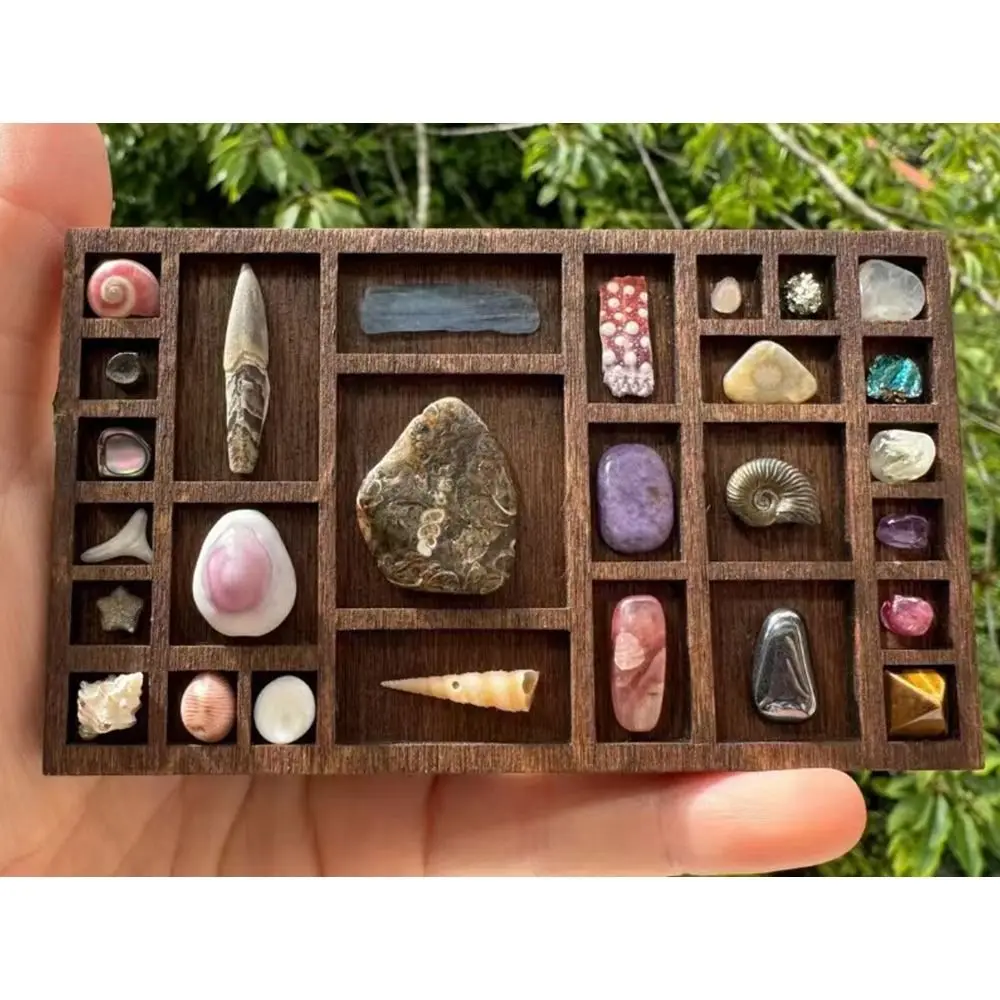 NEW Brown Miniature Trinket Shelf Variety Grids Compartments Mini Jewelry Holder Dollhouse Shelf Ornaments
