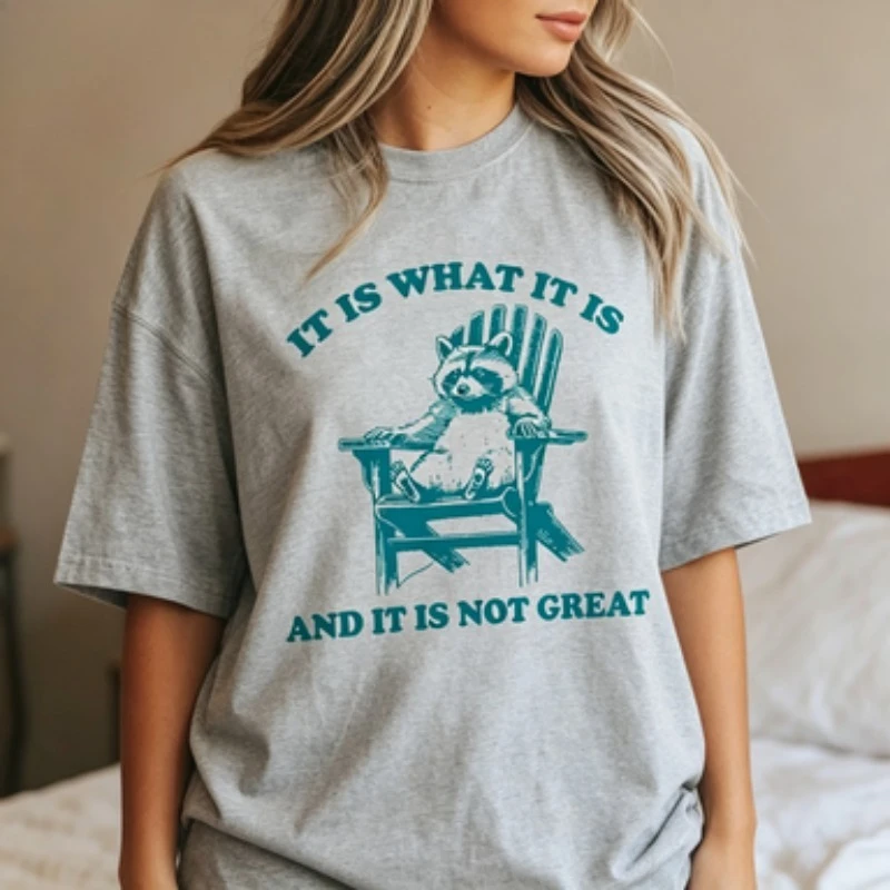 100% Cotton Women Round Neck Standard T Shirt, It Is What It Is And It Is Not Great Lazy Raccoon Retro Chair Print Short Sleeve