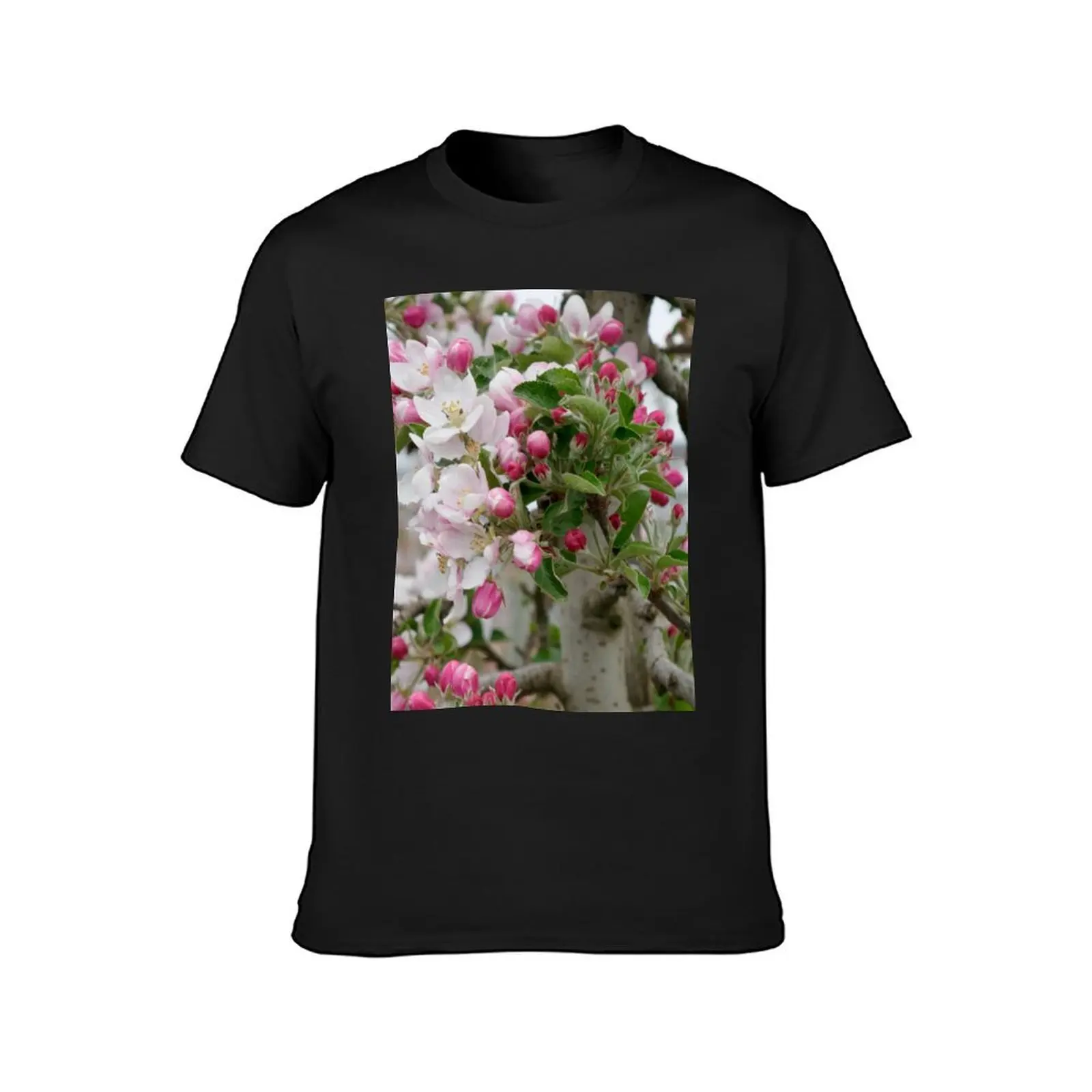 Nature, Spring, Europe, Switzerland, Thurgau, Fruit Trees, Blossom, Photography, Bebicervin T-Shirt