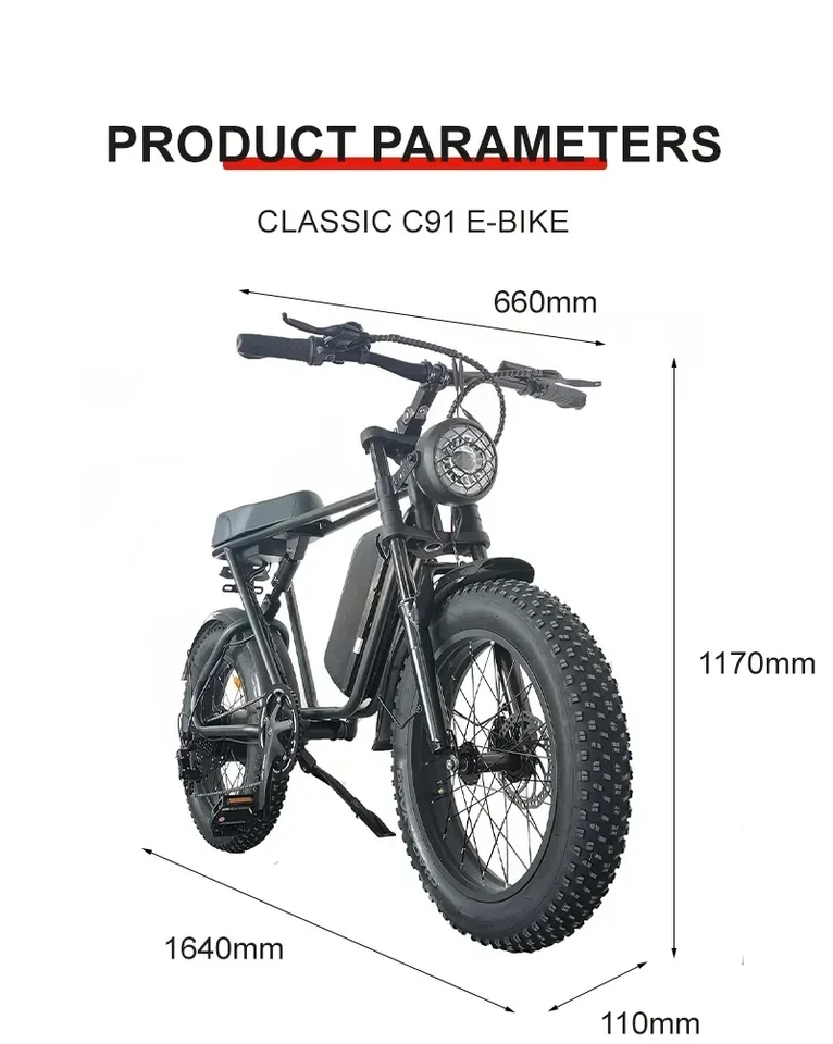 Electric bike C91 powerful 2000w dual motor 48v 20ah lithium battery Electric Bicycle 20 inch fat tire mountain off-road E-bike image 8