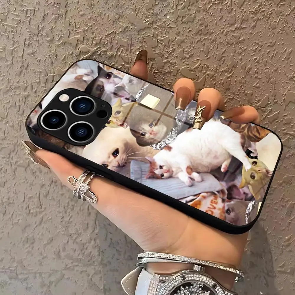 Crying Cat Memes Phone Case For IPhone 17 16 15 Pro Max 14 13 12 Air Plus Samsung Galaxy S25 24 23 Ultra Glass phone case