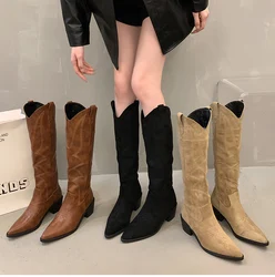 Winter Embroidery Women Cowboy Boots Fashion Slip On Long Boots Female Elegant Square Heel Women's Knight Botties