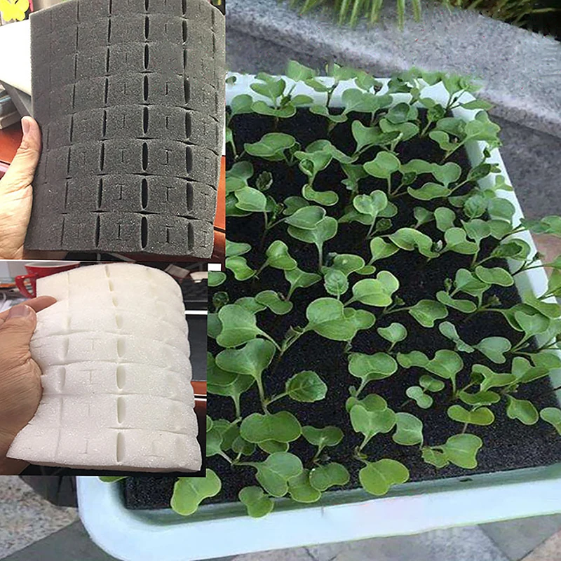 New 1 Sheet Soilless Hydroponic Cloning Garden Pots Nursery Collar Seedlings Plant Vegetables Cultivat Black Seedling Sponge