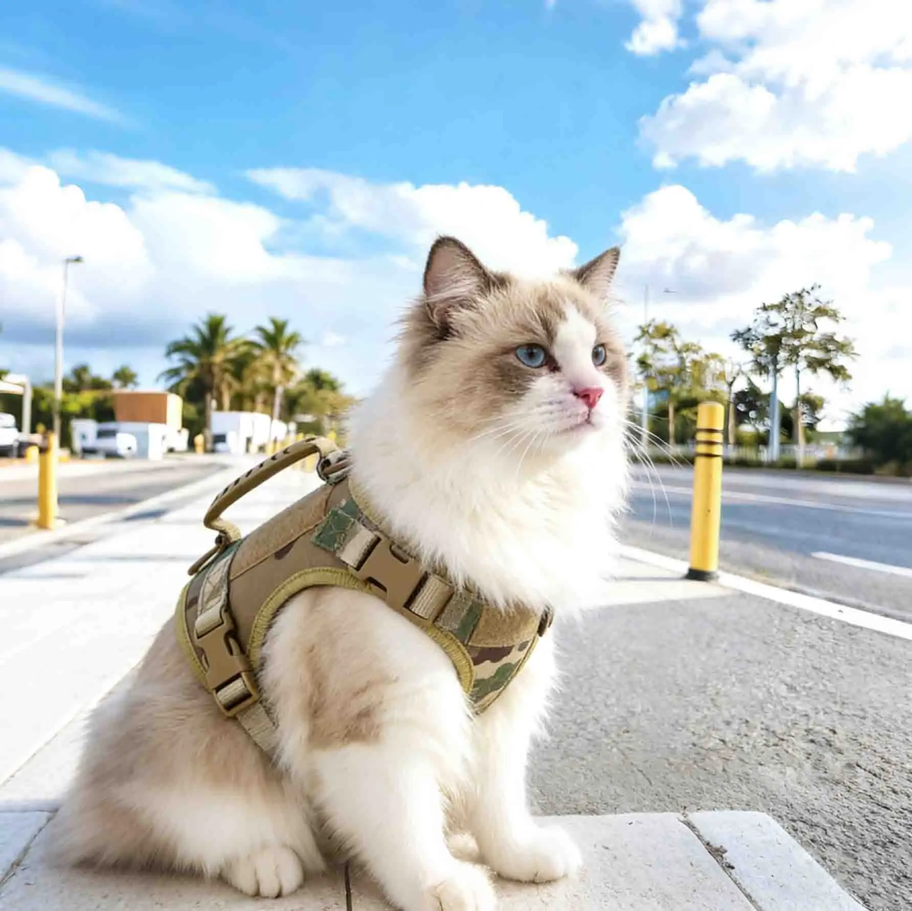 Nylon Cat Harness Vest Military Tactical Cats Harness With Handle Cats Small Dogs Pet Training Walking