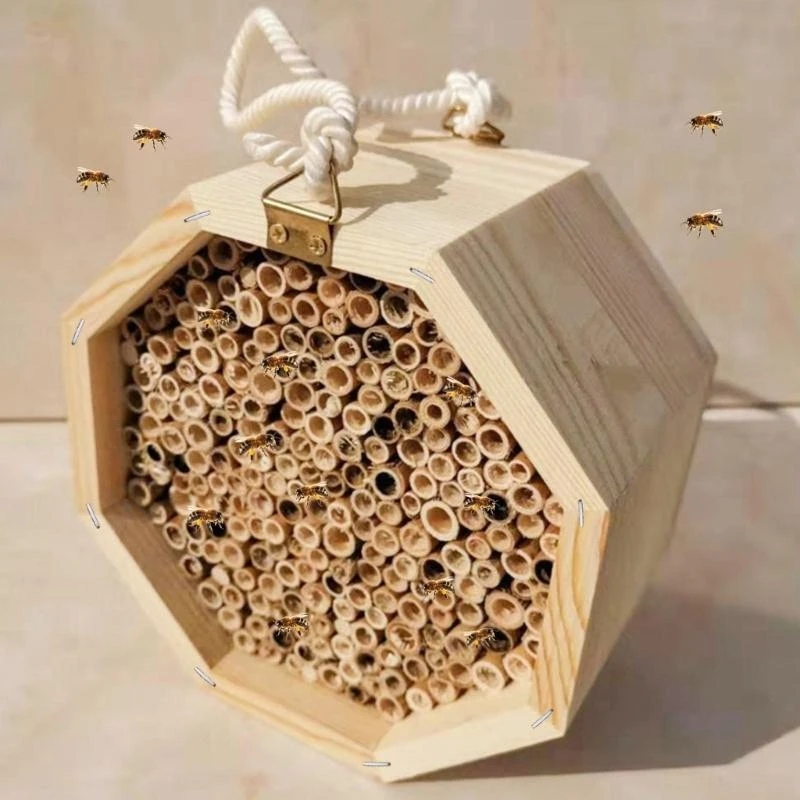 Hanging Insect Hotels for Pollinator Bees for Garden Lovers for Butterfly and Size 15cm