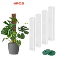 4Pcs-Moss Pole