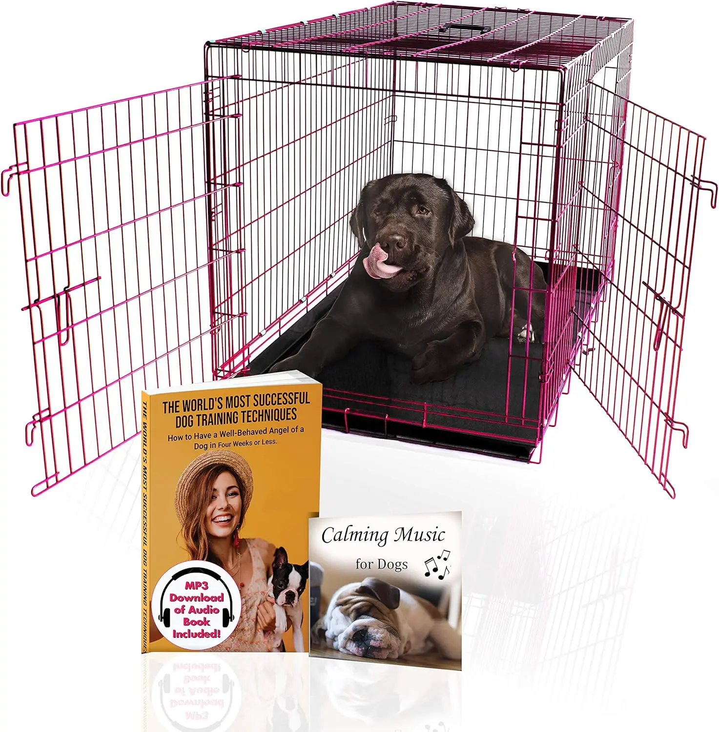 Expressions Luxury Colorful 48 Inch Foldable Dog Crate with 2 Doors | Free Training Ebook and Pet Calming Music | 3 Colors