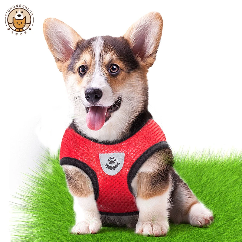 Arnés transpirable ajustable para perros y gatos – Paseos cómodos - imagen 5