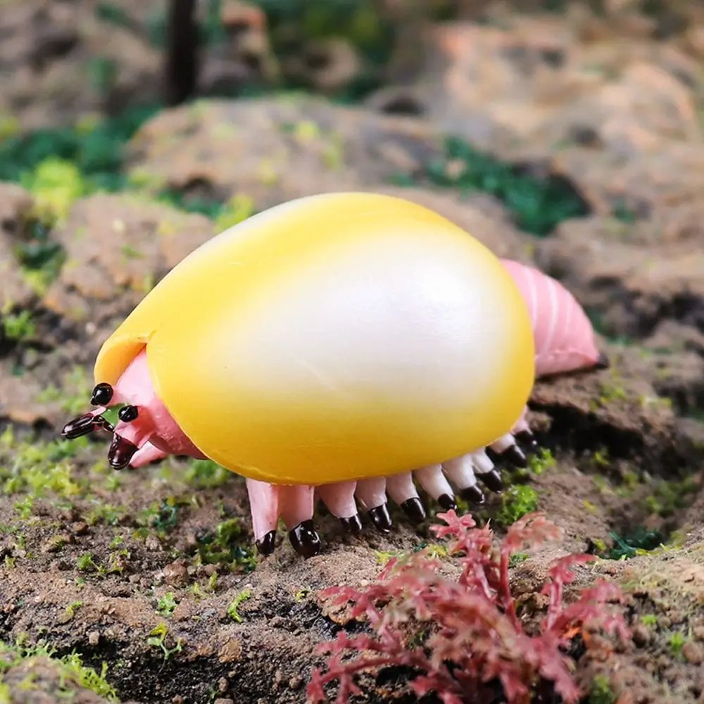 

Prehistoric Ocean Animal Figure Nautilus Anomalocaris Marine Life Figurines Ancient Simulation Trilobite Figure Toys