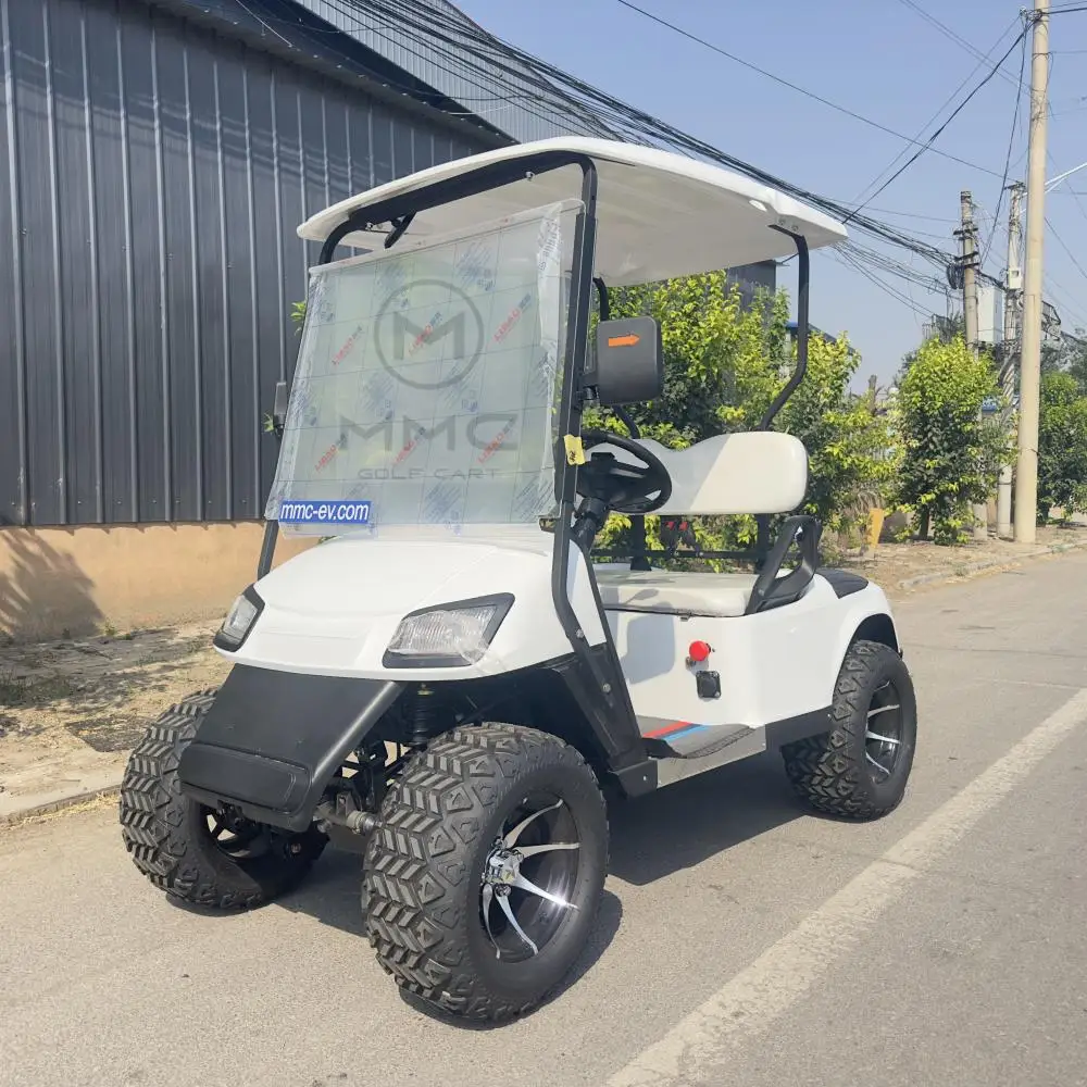 MMC مخصص الصانع بالجملة 2 4 6 مقاعد مقعد الصيد الليثيوم الكهربائية على الطرق الوعرة عربة جولف مرفوعة #3