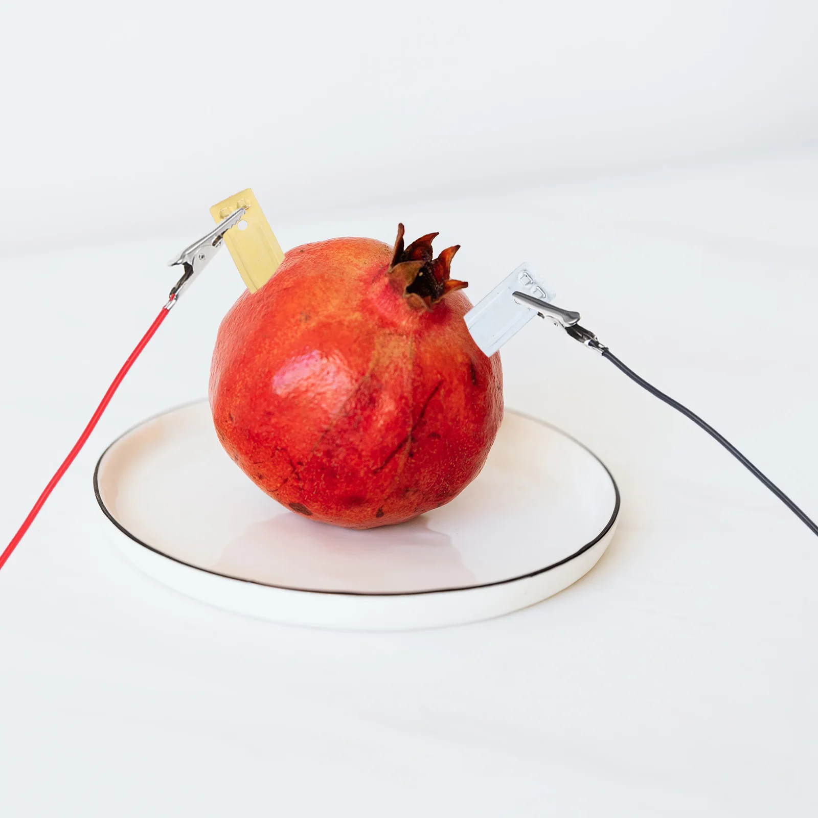 

1 Set Diy Fruit Science Experiment Kit Educational Kids Students High Grade Material Physics Electronic Clock