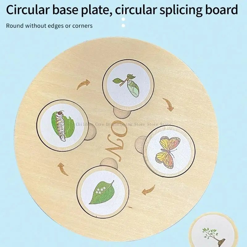 Biological Life Growing Boards Boards พ่อแม่กิจกรรมเด็กกิจกรรมการศึกษาปฐมวัยของเล่น