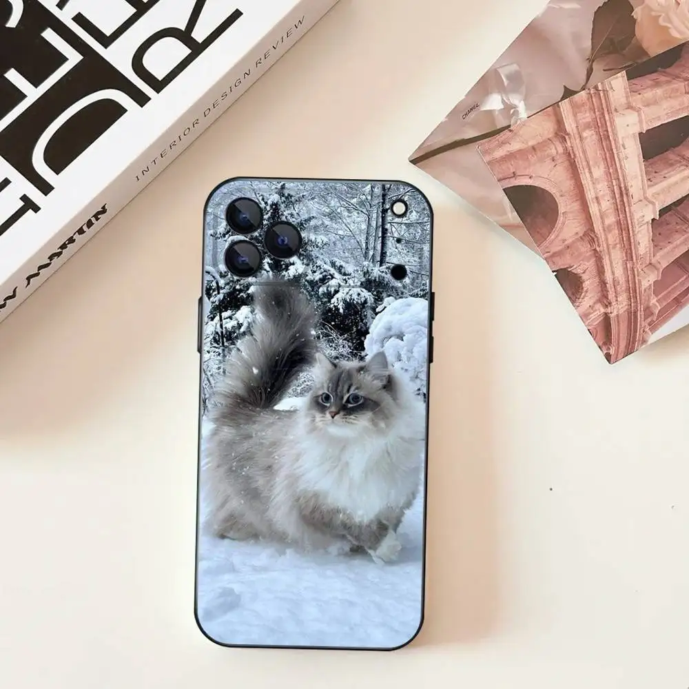 Lovely Ragdoll Cat Funny Phone Case For iPhone 17,16,15,14,13,12,11,Pro,Max,Plus,E,SE4,Air,Mini Black Soft Cover