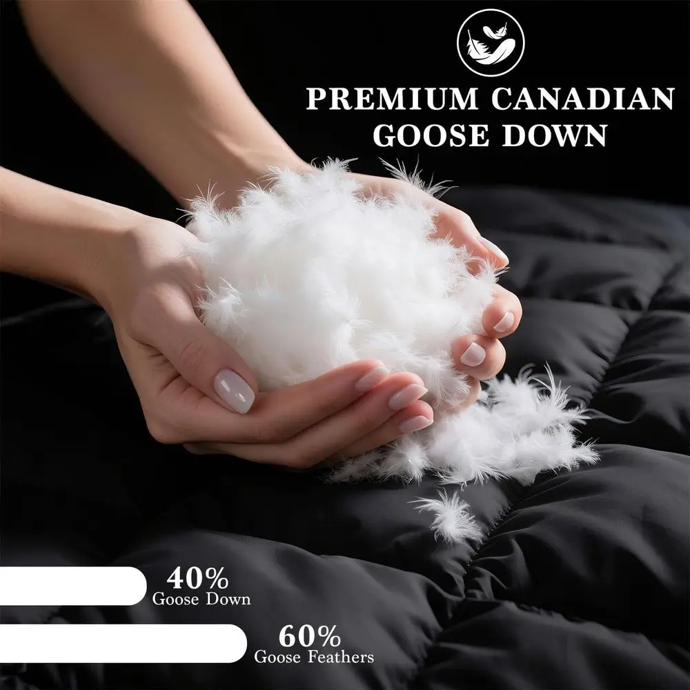 Cuscini di lusso in piuma d'oca bianca 750 Fill Power, 100% cotone, set di dimensioni standard di 2 (20 x 26) per chiodini laterali e posteriori