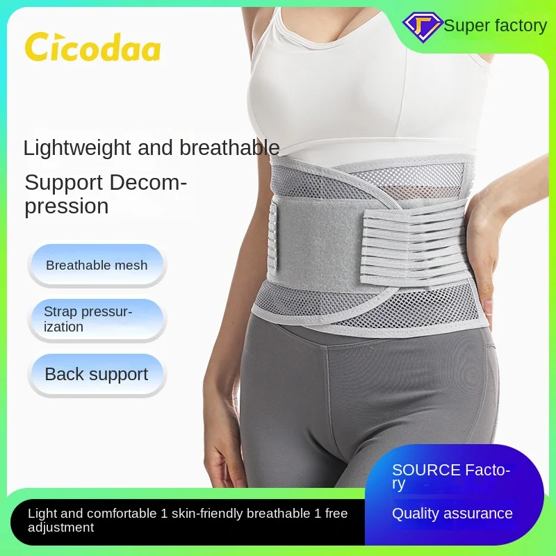 

Breathable Supporter Four Seasons Lumbar Disc Lumbago Fixed Sports Waist Support Artifact