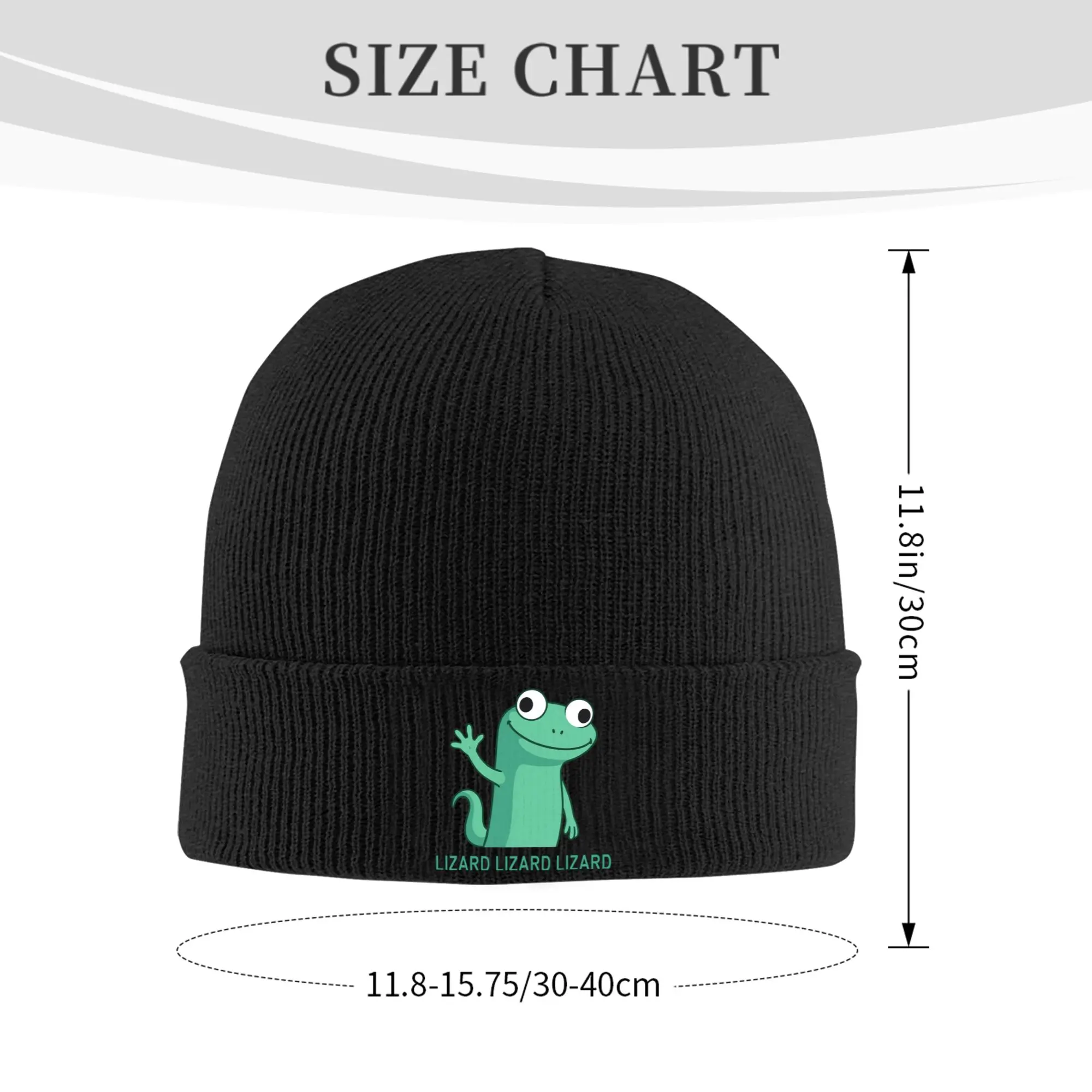 Lizard Weirdcore Animal Knitted Hat for Women Men Beanies Winter Hat Acrylic  Casual Melon Cap ,