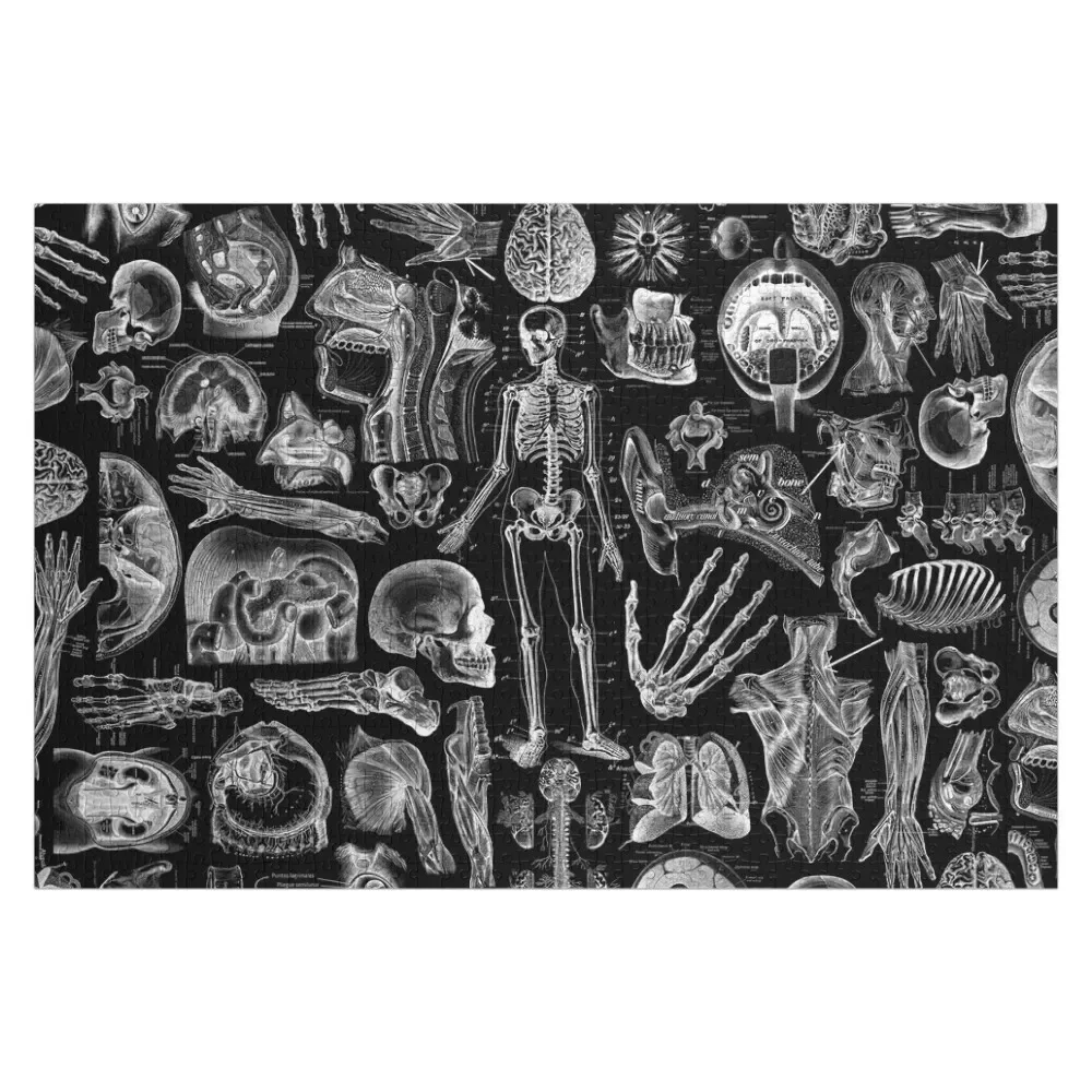 

Human Anatomy Black Print Jigsaw Puzzle Customized Toys For Kids Customizeds For Kids Puzzle