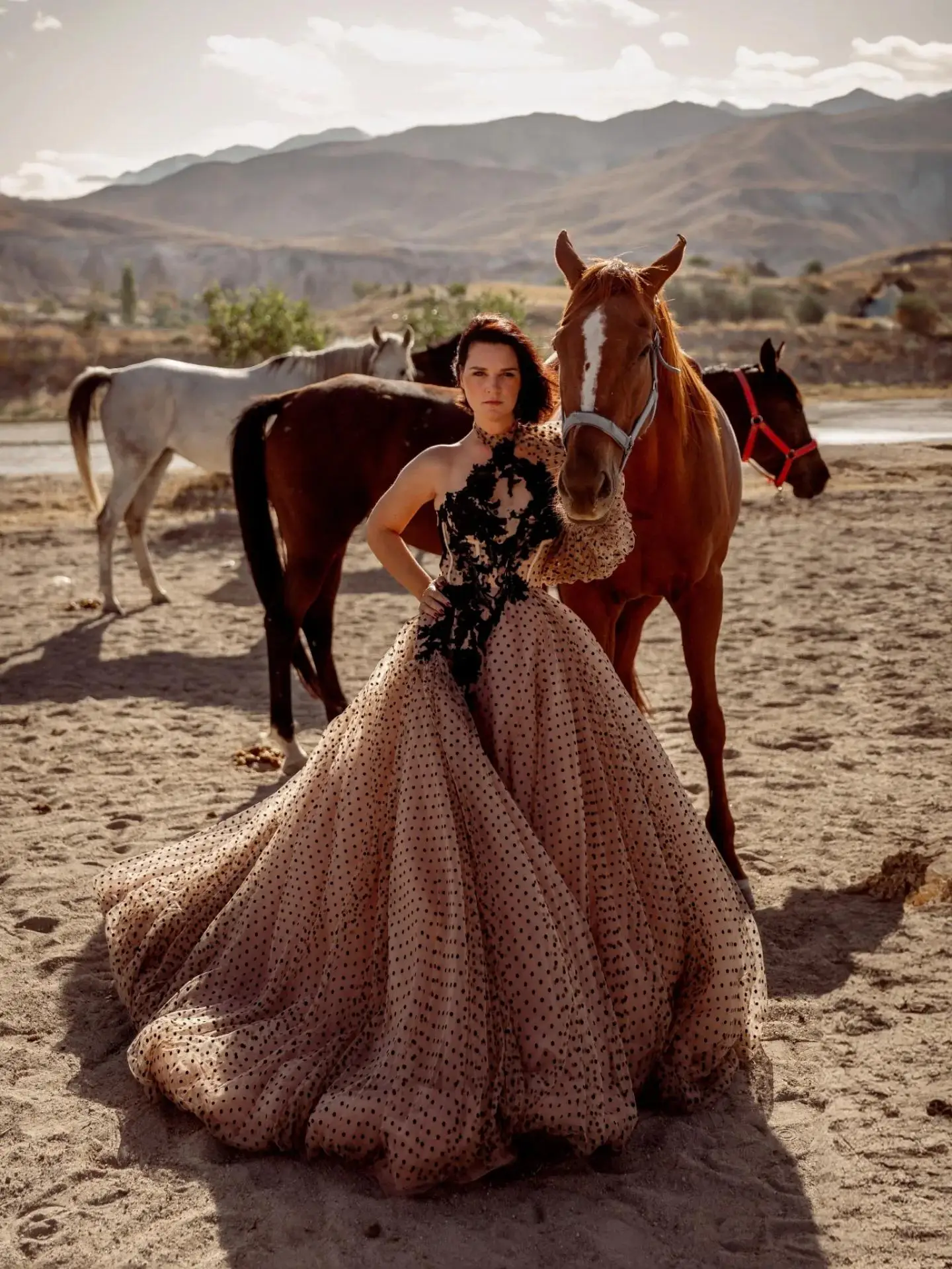 Hot Sale Off Shoulder Lace Tulle Gown  Wedding Party Dress Extra Fluffy Ball Gown Tulle Evening Dressing Gown For Birthday Party