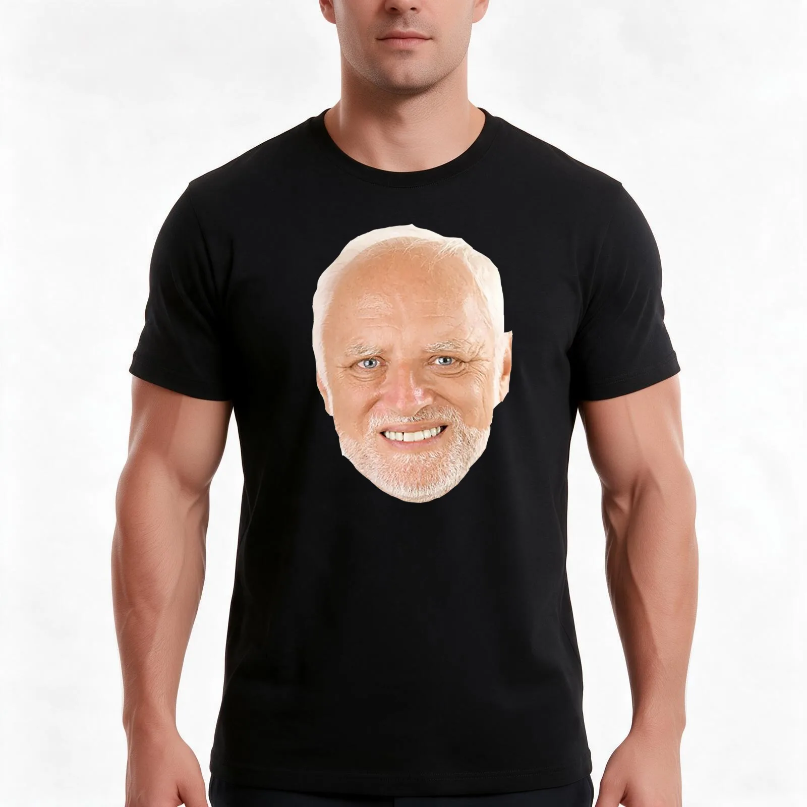 Hide the Pain Harold MEME T-Shirt, Summer Casual Cotton Tee, Oversized Streetwear Tops, Vintage Graphic Print, Unisex Men Women