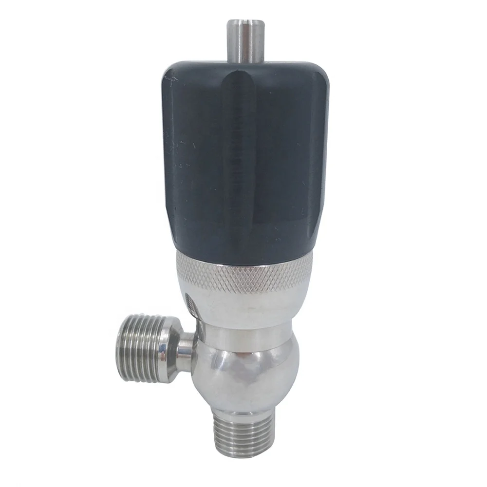 

SS316L SS304 Hygienic Sanitary Stainless Steel High Quality BSP Male Threading Mini Safety Valves for Electric Power Industry