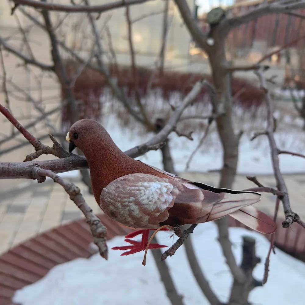 Flocked Artificial Pigeon Bird Realistic Dove Ornament For Home Garden Decoration Wedding Party Craft Decor Statues Figures