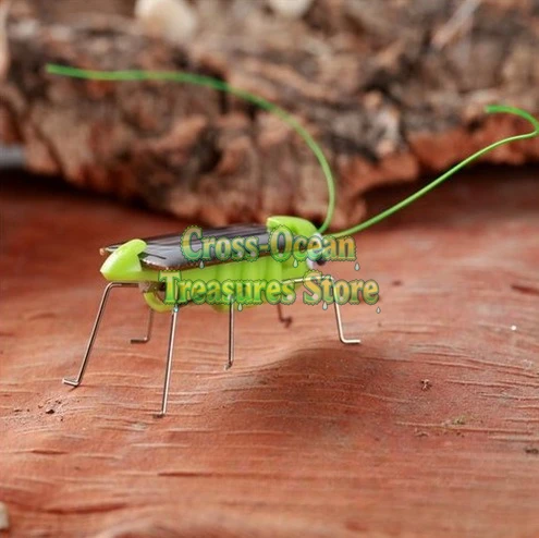 

Солнечный коник, новый. Солнечный коник, новый.