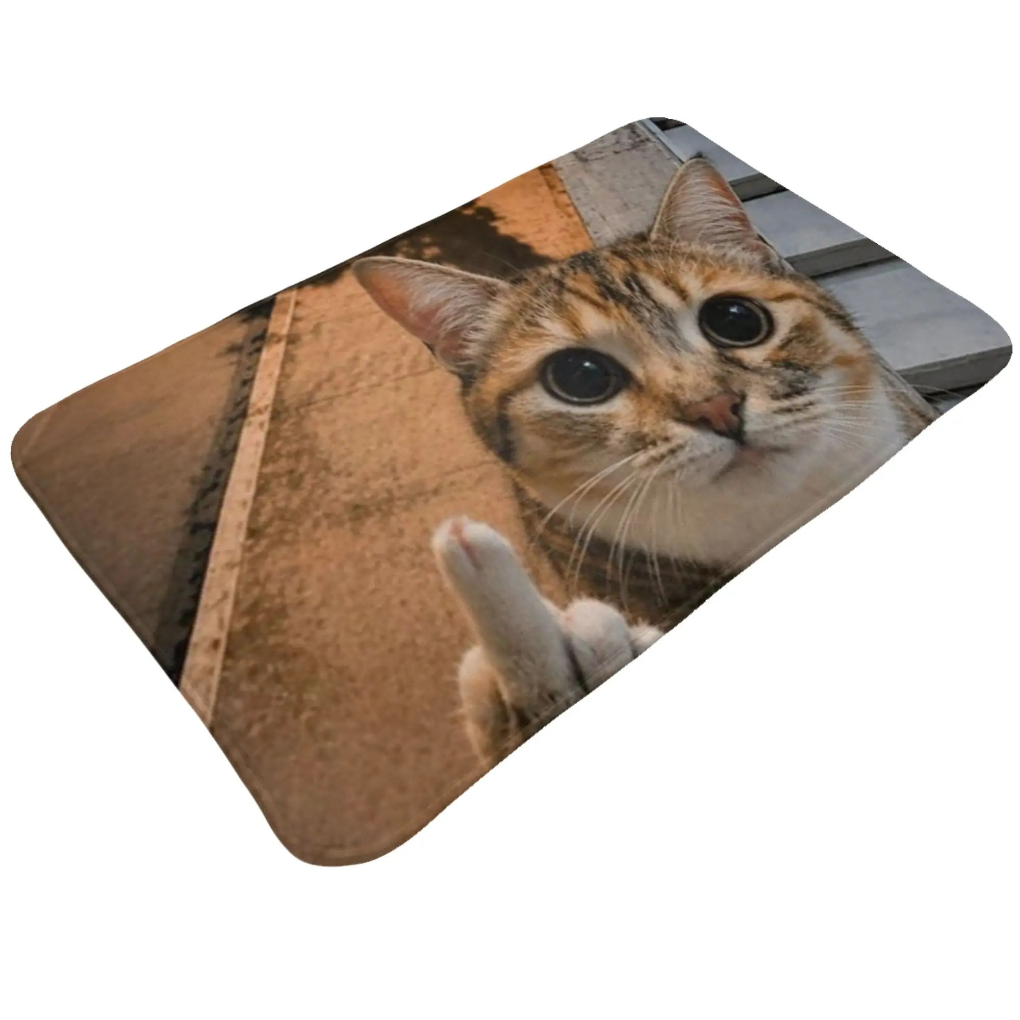 Tabby Cat Middle Finger Funny Meme  Doormat Bathroom Kitchen Mat  Absorbent Home Decoration