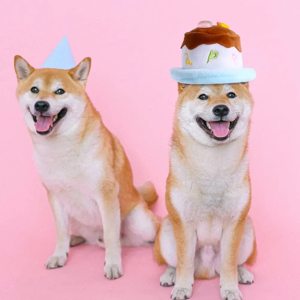 1-unidade-chapeu-em-forma-de-bolo-de-aniversario-para-animais-de-estimacao-com-faixa-elastica-confortavel-e-ajustavel-ideal-para-festas-sessoes-de-fotos-e-como-acessorio-para-a-cabeca-chapeu-em-forma-de-bolo-para-animais-de-estimacao