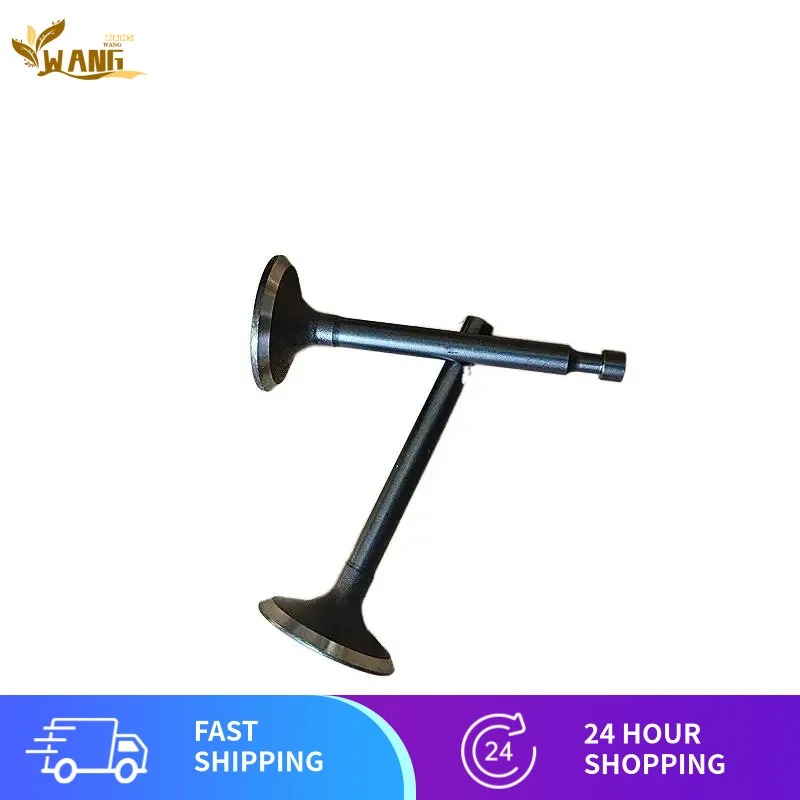 

1 пара впускных клапанов VP200 и клапанов EXHUAST для микрообработки ZONGSHEN VP200 XP200, бензинового двигателя